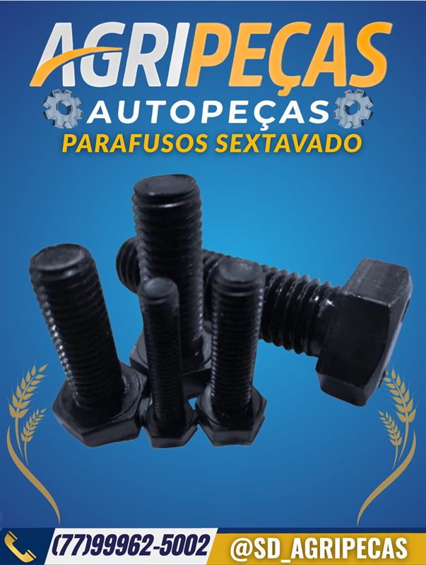 PARAFUSOS SEXTAVADO